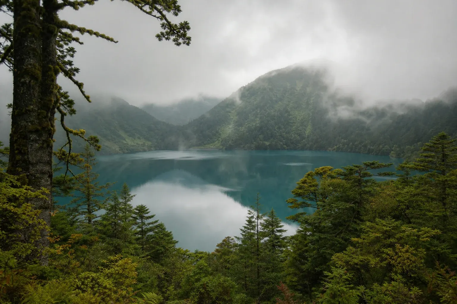 Nebliger Wald und Vulkansee in ruhiger Japan Natur abseits der Touristenrouten